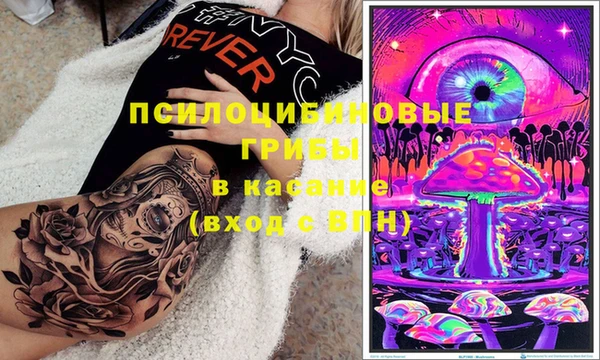 МДПВ Горняк