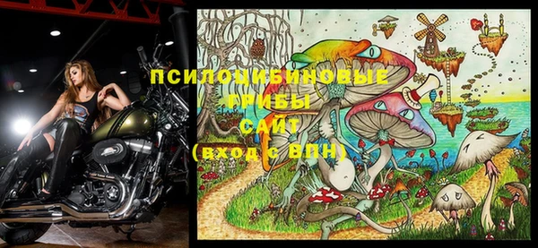 МДПВ Горняк